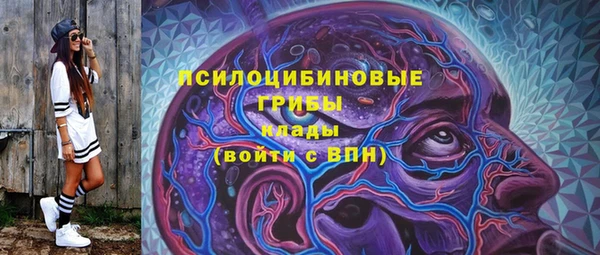 шишки Киреевск