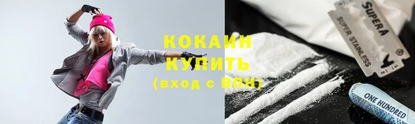 шишки Киреевск