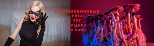 шишки Киреевск