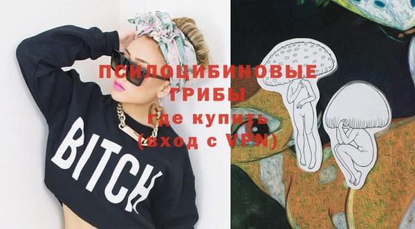 шишки Киреевск