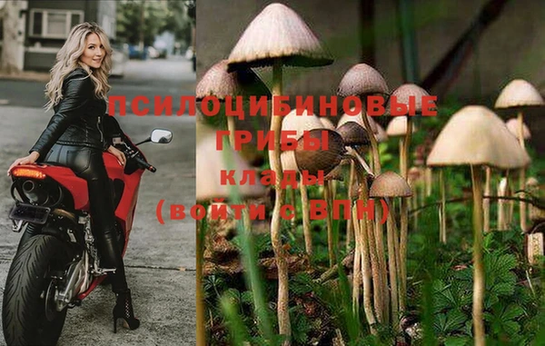 амф Кинешма