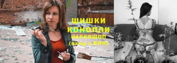 индика Дмитровск
