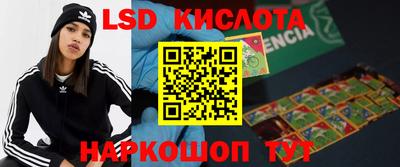 мяу мяу мука Донской